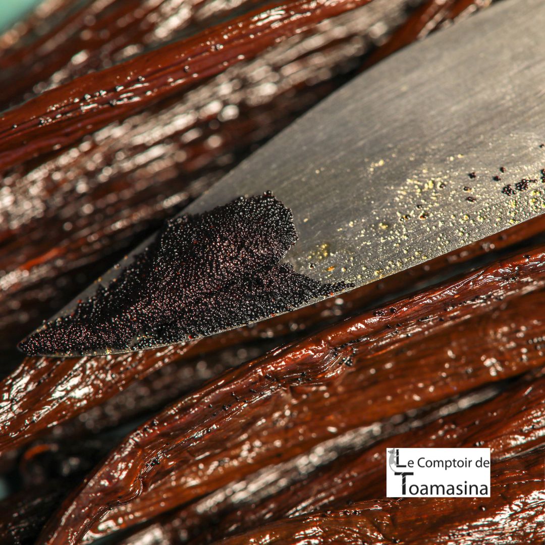 Quelle est la meilleure vanille du monde - Vanille bourbon de Madagascar